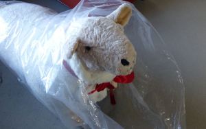 Sir Wooliam in plastic