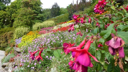 villa carlotta flowers