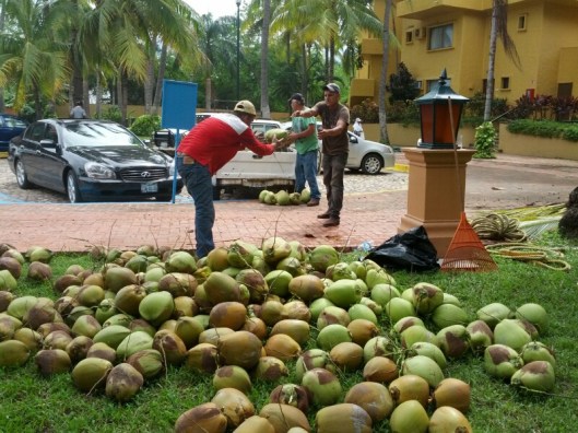 IMG_20131016_124645_20131017111154347