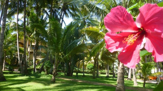 P1040598_20131017130113024