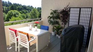 The fake trees, the screen around the air conditioner, and Tom's beloved barbeque