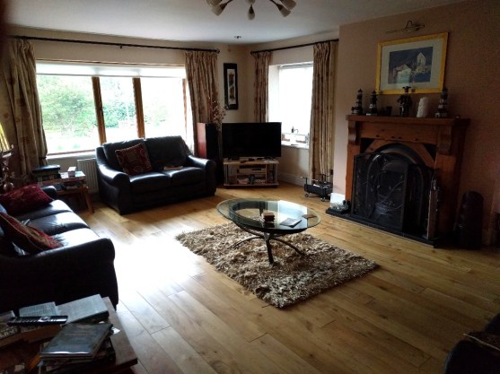 Fergal living room